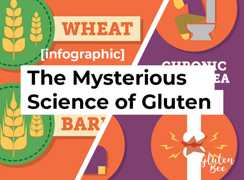 Mysterious Science of Gluten Infographic