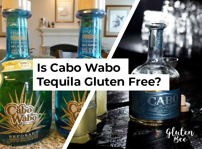 Is Cabo Wabo Gluten Free?