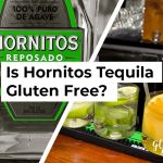 Is Hornitos Tequila Gluten Free?