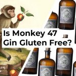 Is Monkey 47 Gin Gluten Free?