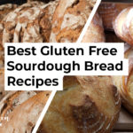 Best Gluten Free Sourdough Bread Recipes