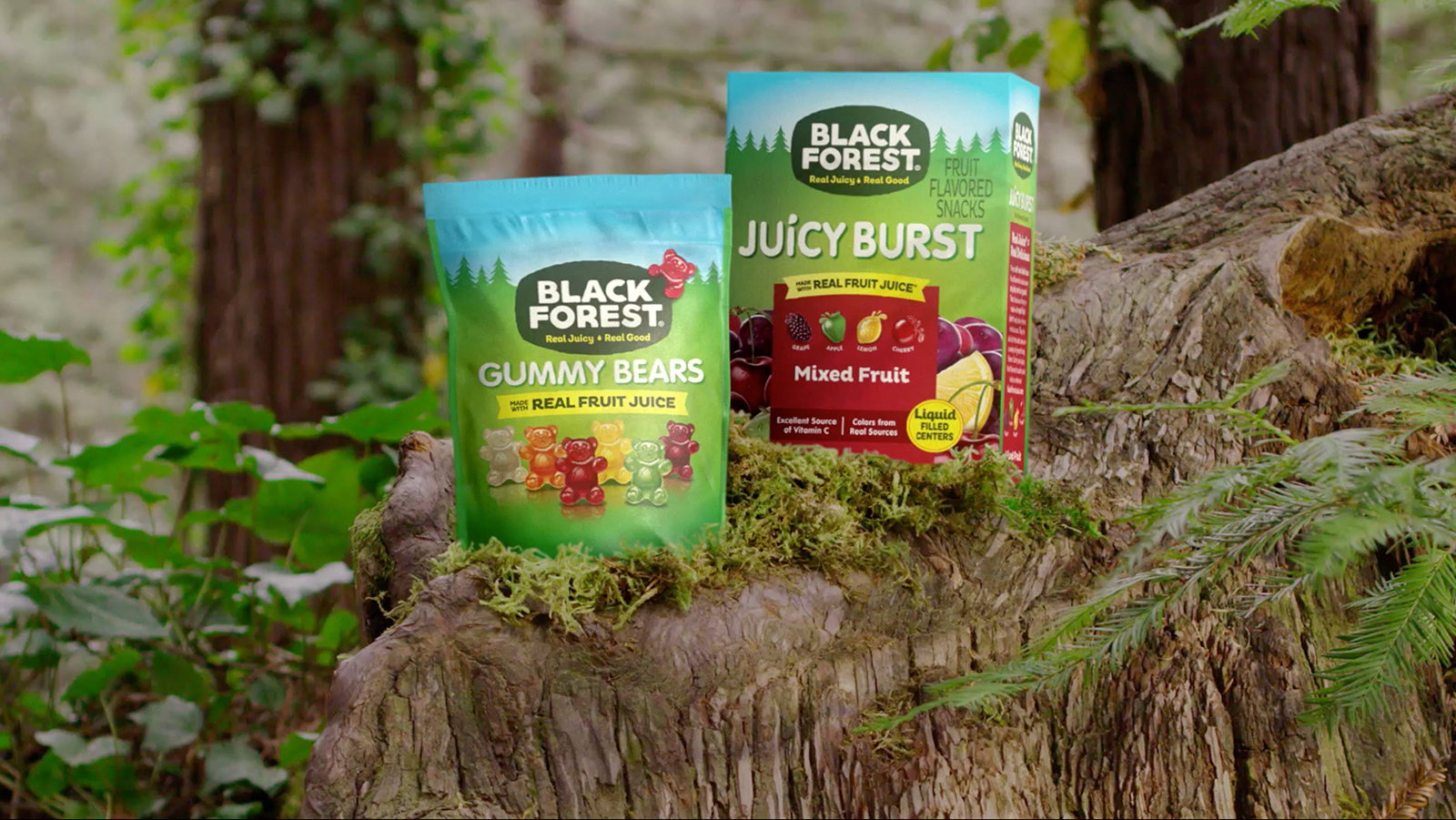 black forest gummy candy products