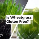 Is Wheatgrass Gluten Free?