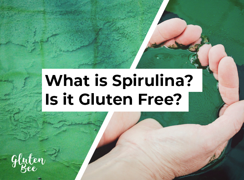 What is Spirulina? Is it Gluten Free?